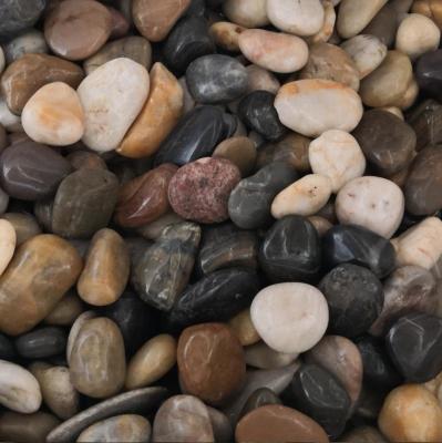 China Natural Decorative Small Pebbles Natural Grain Stone Stone Pebbles for sale