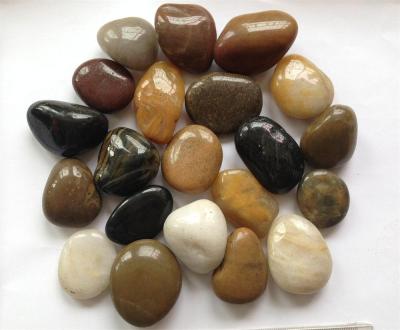 China Natural Stone Color Decoration Mixed Pebbles for sale