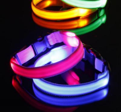 China Viable Product High Quality Nylon Webbing Pet USB Rechargeable LED Flashing Dog Collar for sale