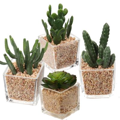 China Low Price Decoration Rustic 8*8 Custom Glass Pot Artificial Planters Succulent Plants With Pots for sale