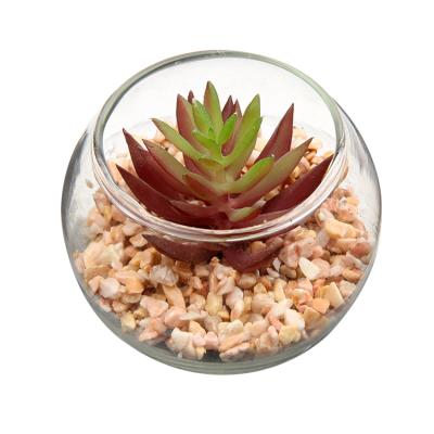 China Mini Artificial Succulents Wholesale Diy Rustic Series Decor Succulent Indoor Outdoor Plants for sale