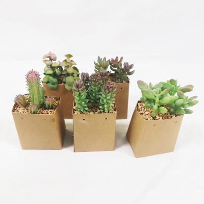 China Rustic Home Decoration Green Faux Succulents Plants With Paper Box Rustic Style Artificial Succulent Plants for sale