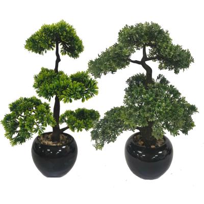 China 18-1/2 Inch Modern Height Faux Tree Plants Artificial Bonsai Tree In Ceramic Pot For Home Office Decoration for sale