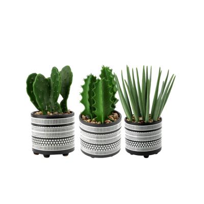 China Rustic Artificial Home Vera Plant Desert Aloe Vera Plant Emulational Decoration Office Desktop Cactus for sale