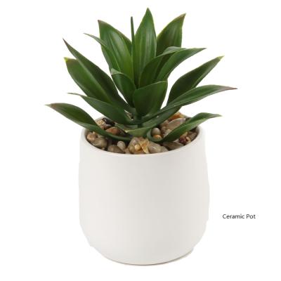 China China Traditional Approved OEM Customized Modern Simple Indoor Artificial Green Plants Agave Aloe Plant Odm for sale