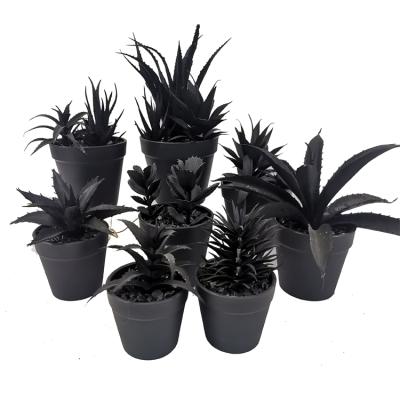 China Traditional Aloe Plant Black Faux Succulents Artificial Black Plants With Black Planter Mini Potted Artificial Black Succulent for sale