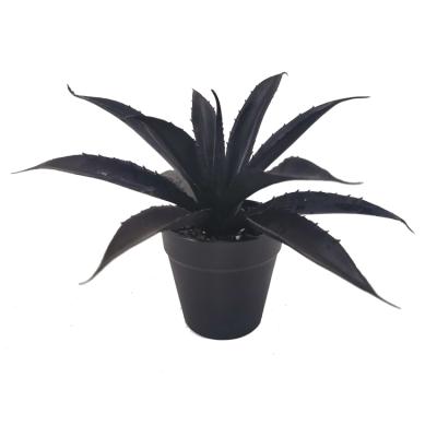 China Mini Potted Artificial Black Succulent Traditional Aloe Plant Black Faux Succulents Plants for sale