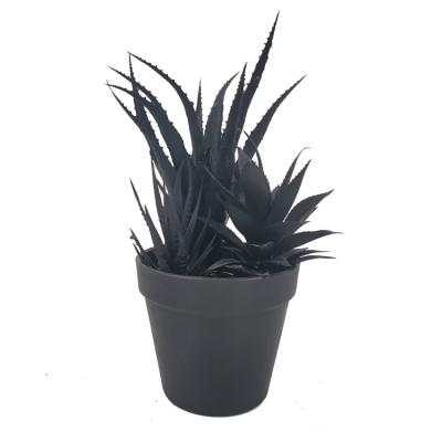 China Traditional Artificial Black Plants Mini Potted Artificial Black Succulent Aloe Plant Black Faux Succulents in Plastic Pot for sale