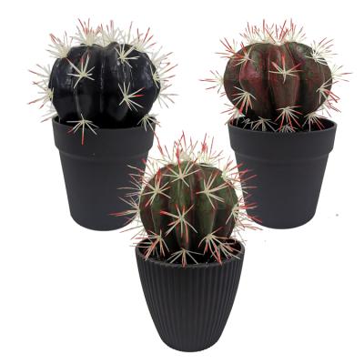 China Traditional Artificial Black Plants Mini Black Faux Cactus Plant Black Faux Succulents Plants in Black Pots for sale