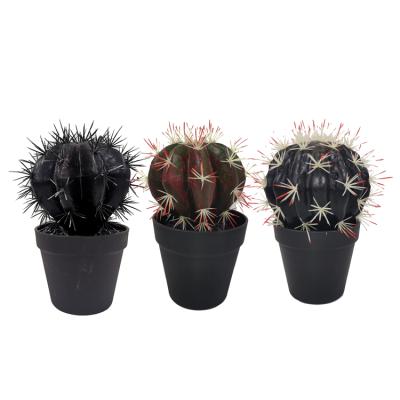 China Traditional Artificial Black Plant Black Faux Succulents Plants 10 Inch Large Globular Black Fake Cactus Plants In Black Pots for sale