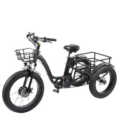 China 2022 hot sale cheap aluminum 24 inch CKD 20 inch fat tire electric bike 3 wheels for sale