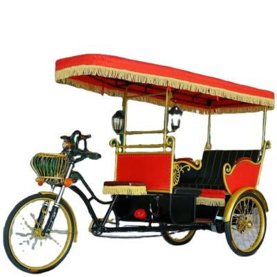 China Aluminum Alloy Most Fashionable Luxury Electric E-Rikshaw 3-Person Sightseeing Tour 3 Wheels for sale