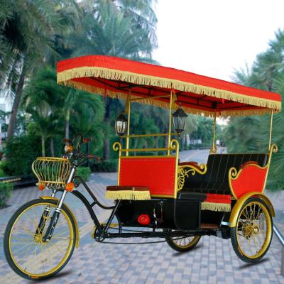 China Aluminum Alloy Hot Selling Sightseeing Tour Electric Tricycle that Can Carry 2 People Electric Trikes for sale