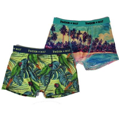 China Anti-Bacterial Young Boys teenager cool Underwear Print boxer shorts for sale