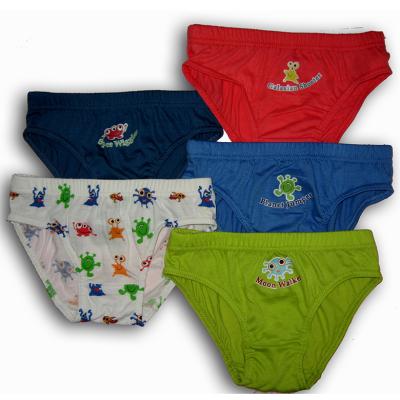 China Young Cartoon Boys Underwear Kids Thongs Antibacterial Hot Selling Sexy Underwear for sale