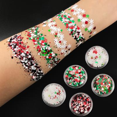 China Christmas Decoration Christmas Glitter Wholesale Chunky Holographic Glitter For Crafts Eco-Friendly Decoration for sale