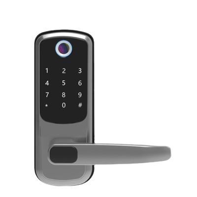 China Hot Sale 3G Ttlock APP Electronic Door Lock Handle Smart Lock With Keypad for sale