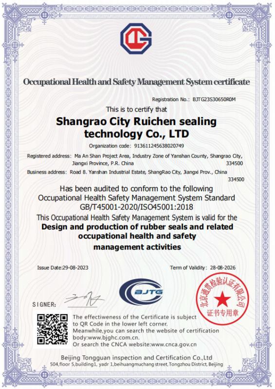 ISO 45001 - SHANGRAO RUICHEN SEALING CO.,LTD