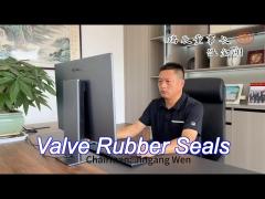 high temperature valve rubber seal auto rubber parts applications -60 to 350 degree