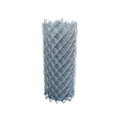 China Galvanized Iron Wire 2021 High Quality Galvanizing Or PVC Coated Hexagonal Sliver Customized Size Chicken Wire for sale