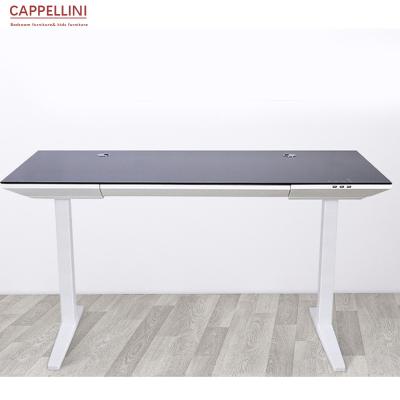 China Wholesale Latest Design Rectangle Table Multifunctional Computer Desk (Hight)Adjustable Metal Legs for sale