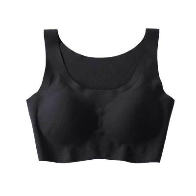 China Anti-Bacterial Bra Hot Selling High Quality Girl Open Sexy Double Push Up Seamless Sleep Bra Women Bra for sale