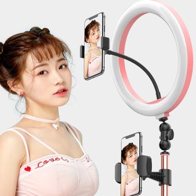 China Aluminum Alloy 10 Inch Dimmable Ring Fill Light Mini USB Studio Phone Selfie Ring Light With Stand for sale