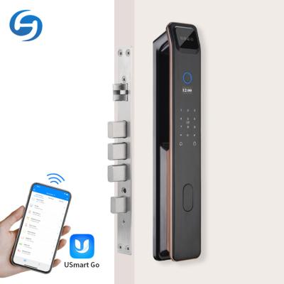 China Huiyou DF9 Combination App Huiyou DF9 Office/Home Combination App Fingerprint 3d Face Recognition Custom Apartment/Home Remote Scan Digital Smart Door Lock for sale