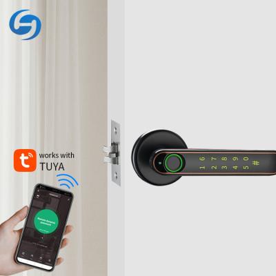 China Huiyou 198 apartment/office/home push and pull tuya fingerprint password app door knob wireless opening smart lock for sale