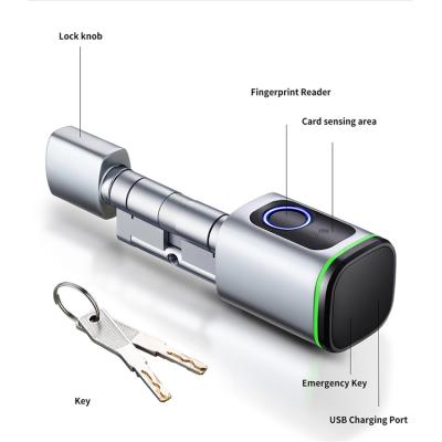 China Huiyou S1 Security Multi Function Apartment/Office/Home Security Waterproof Digital App Open Smart Fingerprint Lock Cylinder for sale