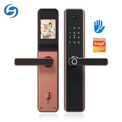 China Tuya Smart WIFI APP Home Huiyou M1-F Office/Home Biometric Fingerprint TTLOCK Security Remote Apartment/Door Lock for sale