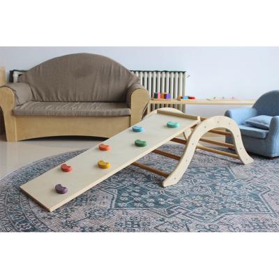 China New Arrival Family Rock Wall Gym Montessori Climbing Ramp Slide Educational Toys Indoor Wooden Education Equipment For Toddlers en venta