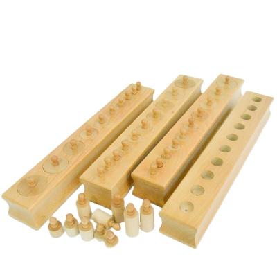 China Child Advance Montessori Cylinder Blocks Eco - Friendly Montessori Early Preschool Toys For Toddlers en venta