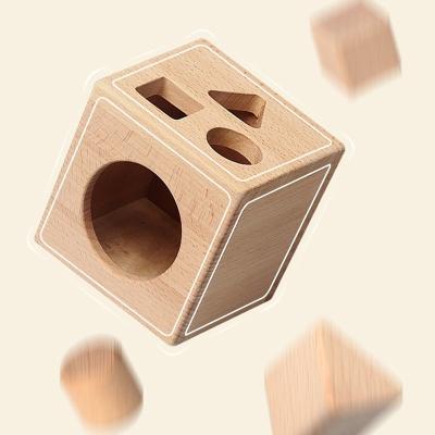 China Montessori Eco-Friendly Wooden Toys Shape Sorter Wooden Cube Stacking Matching Game Gifts For Toddlers Kids Children en venta