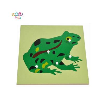 China Montessori Materials Montessori Wooden Frog Puzzle Toys for Kids Study Biology Montessori Materials Teaching Resources for sale