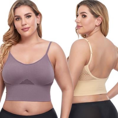 China Wholesale Breathable Big Cup Size U Tube Upper Sexy Plus Open Back For Fat Woman Breathable Mesh Wireless Cheap Push Up Sports Bra for sale