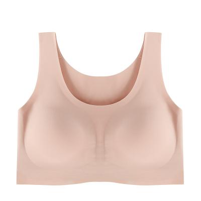 China Breathable Warm Fitness Clothes Women Top Wear Yoga Pads Seamless Stretch Removable Sports Bra for sale