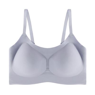 China 2021 antibacterial women seamless bra 2 piece women bra various design cheap wholesale quality fashion women lingerie for sale