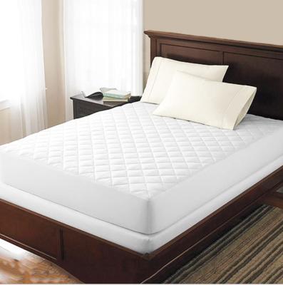 China Anti-bacteria Lovely Terry Quilted Matress Cover Waterproof Mattress Protector for sale