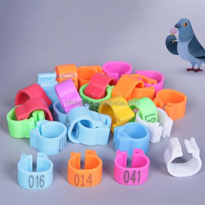 China Stocked Customize Pigeon Ring Multi Sized 8mm Plastic Pigeon Ring Bird Supplies Accessories Plastic Foot Parrot Leg Rings Bird Toys for sale