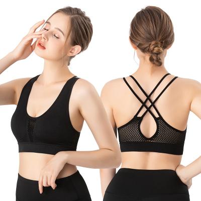 China Professional Breathable Yoga Underwear Cheap Manufacture Fitness Women Sports Breathable Top Bra for sale