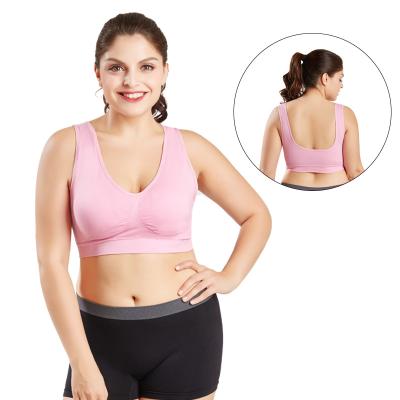 China S-6XL Breathable Glamorous Price Nylon Body Shaping Comfortable Yoga Tops Fitness Plus Size Sports Bra Set for sale