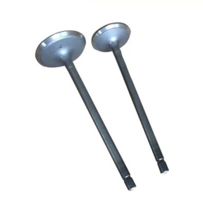 China TEM 1TR 2TR Intake Valve Exhaust Valve Engine Valve 13715-75100 13711-75100 for sale