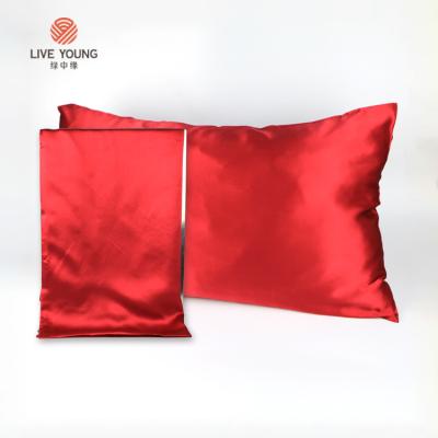 China 100% Anti-Static Grade 6a Natural Organic Mulberry Silk Anti Aging Pillow Case For Sleep for sale