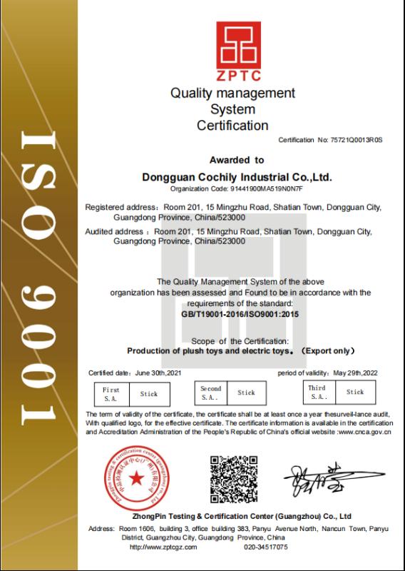 ISO9001 - Dongguan Cochily Industrial Co., Ltd.