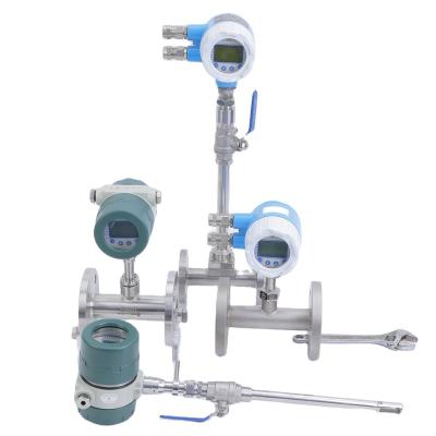 China DN15-DN3000 High Accuracy Thermal Gas Flow Meter Gas Mass Flow Meter With 4-20mA /RS485 Output HJTH-100 for sale