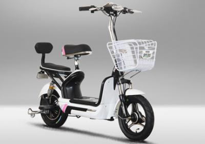 China 48V 350W Pedal Assist Electric Bike ​14