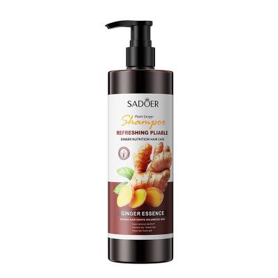 China Loss Prevention Ginger Shampoo Oil Control Shampoo Organic Shampoo Improve Roughness for sale