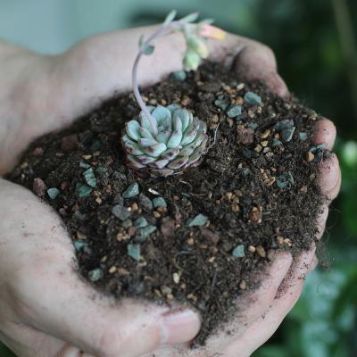 China Garden Worker Garden Plant Fertilizer Potting Mixing Soil For Succulent Cactus for sale