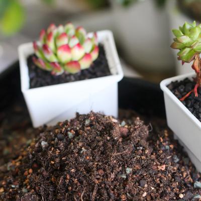 China Wholesale Garden Worker Plants Soil Potting Mix For Succulent Plants for sale